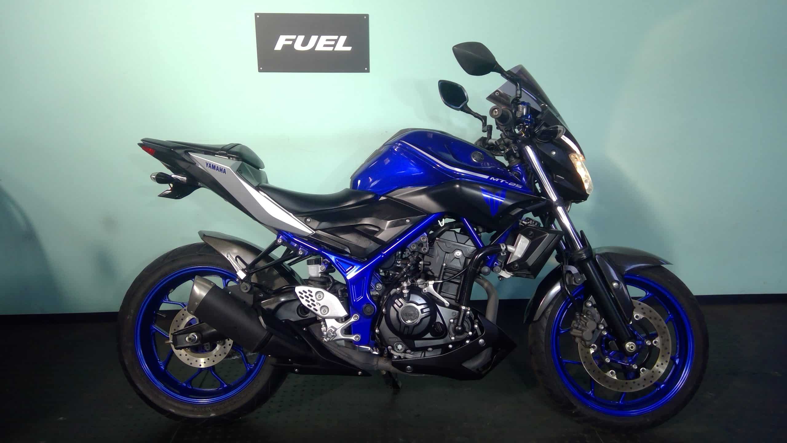 mt-25.rg10j.20240120