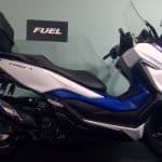 forza.mf13.20240131